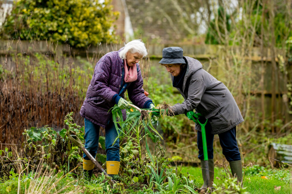 two older women working together in a large community garden